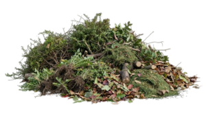 Groenafval container 